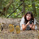 Lara Mostert, South African Animal Sanctuaries Alliance (SAASA); Monkeyland, Birds of Eden, Jukani Wildlife Sanctuary
