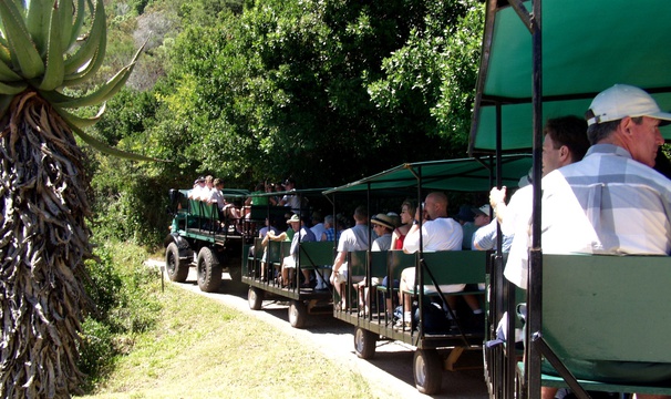 Featherbed Eco-experience. Unimog land train carries guests to the start of their guided walk. Featherbed Company, Knysna
