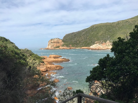 Featherbed Nature Reserve, on the Western Head, Knysna. Image: Martin Hatchuel