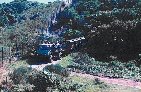 Featherbed Eco-experiences. Unimog land train hauling guests to the start of their walk. Featherbed Company, Knysna
